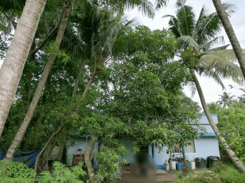  Residential Plot for Sale in Aroor, Kochi