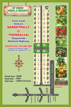  Residential Plot for Sale in Narketpalle, Nalgonda