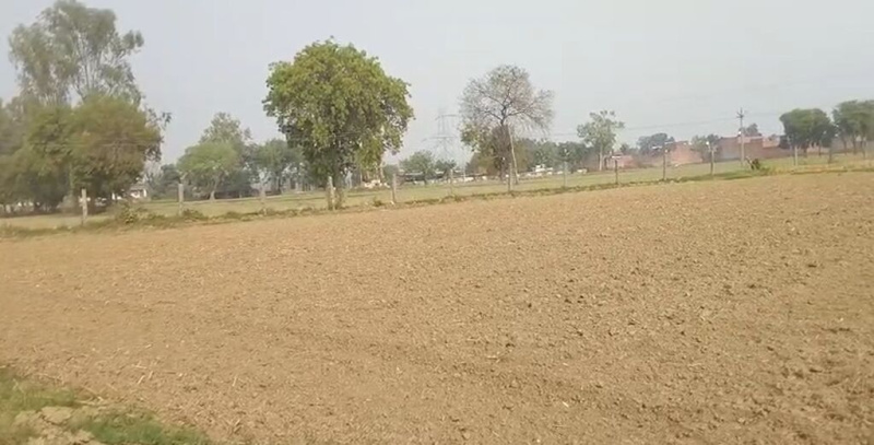  Agricultural Land 1 Bigha for Sale in Bakewar, Etawah