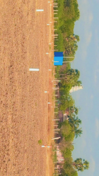  Residential Plot for Sale in Kidaripatti, Madurai