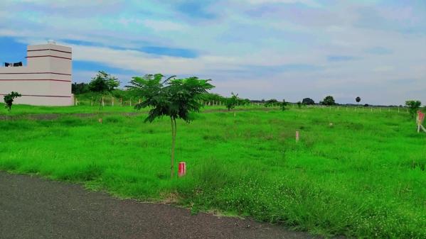  Residential Plot 436 Sq.ft. for Sale in Karuppayurani, Madurai