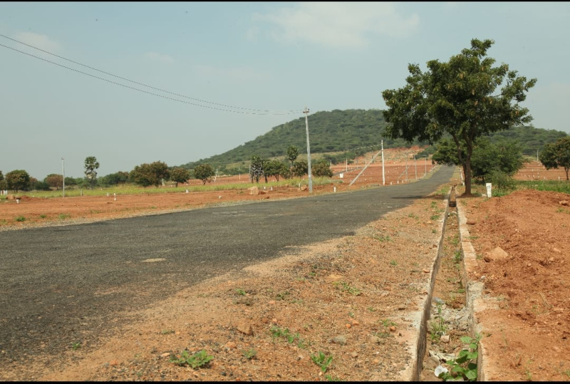  Residential Plot 436 Sq.ft. for Sale in Koolampatti, Dindigul