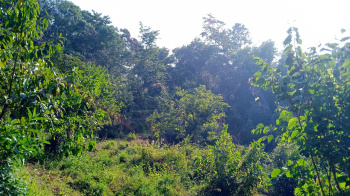  Agricultural Land for Sale in Rishi Road, Kalimpong
