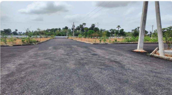  Residential Plot for Sale in Delhi More, Darbhanga