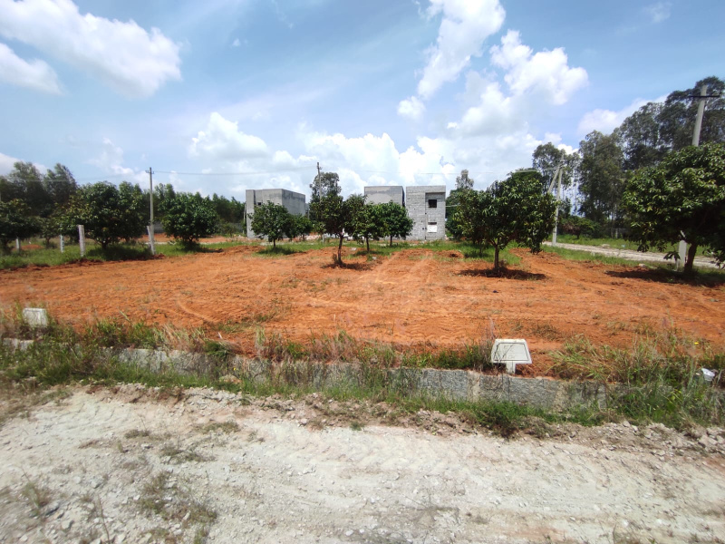  Residential Plot 1200 Sq.ft. for Sale in Bannerghatta Road, Bangalore