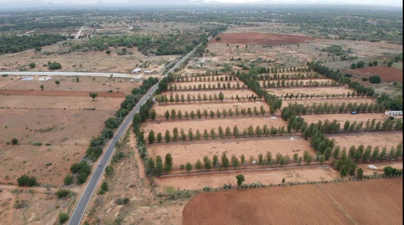  2400 Sq.ft. Residential Plot for Sale in Gauribidanur, Bangalore