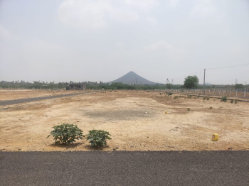  Commercial Land for Sale in Uthukuli, Tirupur
