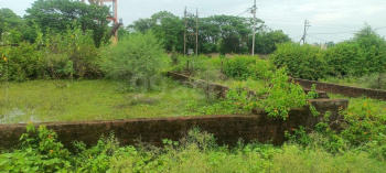  Agricultural Land for Sale in Mangal Nagar, Katni
