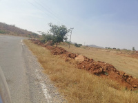  Agricultural Land for Sale in Kanjikovil, Erode
