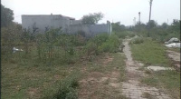  Residential Plot for Sale in Roza Jalalpur Greater Noida