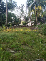  Residential Plot for Sale in Rangat, Andaman