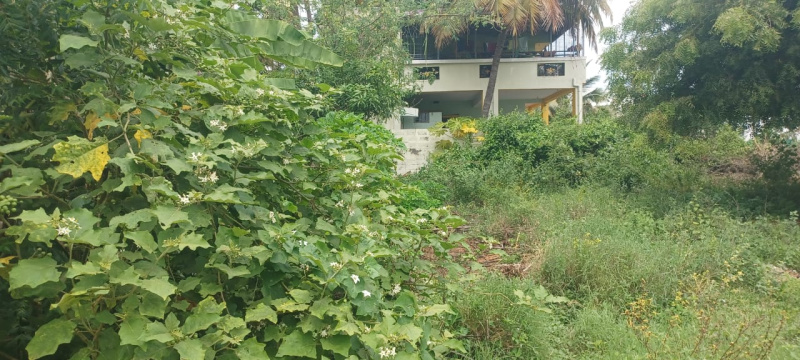  Residential Plot 2400 Sq.ft. for Sale in Shanthi Medu, Bilichi, Coimbatore