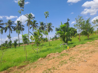 Agricultural Land for Sale in Vayaloor, Tiruchirappalli