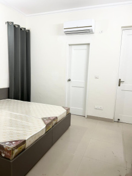 2 BHK Builder Floor for Rent in South City 1, Gurgaon