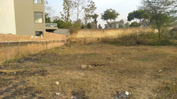  Agricultural Land for Sale in Chattarpur Extension, Delhi