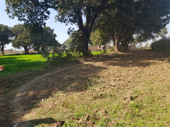  Agricultural Land for Sale in Amkhera Road, Jabalpur