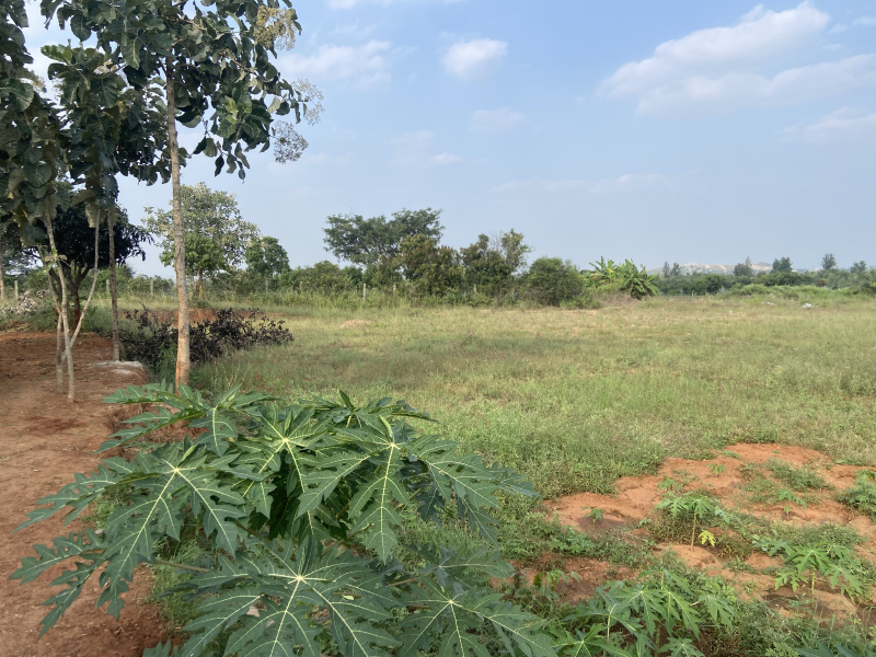  Industrial Land 1 Ares for Sale in Shoolagiri, Hosur