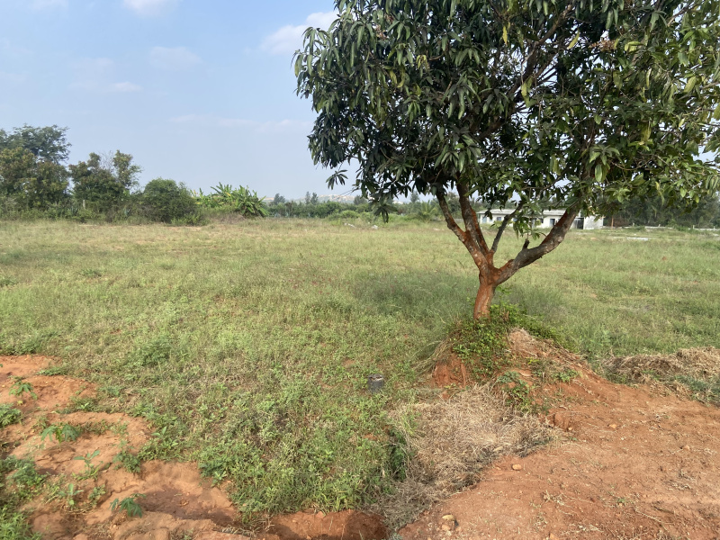  Industrial Land 1 Ares for Sale in Shoolagiri, Hosur