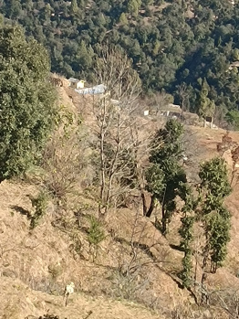  Agricultural Land for Sale in Mukteshwar, Nainital