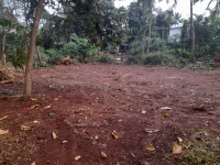  Residential Plot for Sale in Perinthalmanna, Malappuram