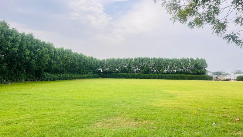 Techzone, Greater Noida photo 3