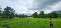  Agricultural Land for Sale in Pali, Raigad