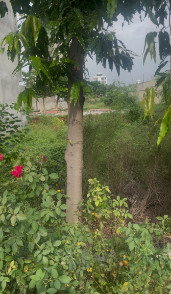  161 Sq. Yards Residential Plot for Sale in Sector 98 Faridabad