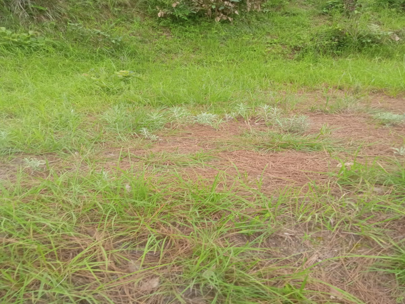  Commercial Land 750 Sq. Yards for Sale in Chhatikara Road, Vrindavan
