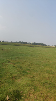  Commercial Land for Sale in Kadapa, Cuddapah