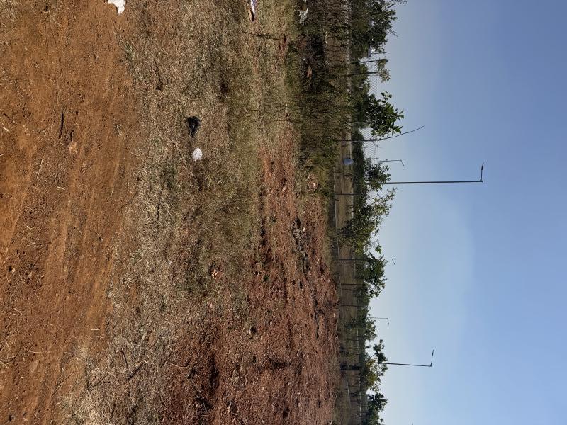  36 Guntha Commercial Land for Sale in Jogipet, Medak