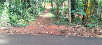  Agricultural Land for Sale in Perambra, Kozhikode