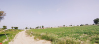  Agricultural Land for Sale in Mohangarh, Jaisalmer