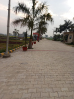  Residential Plot for Sale in Patanjali Yogpeeth, Haridwar