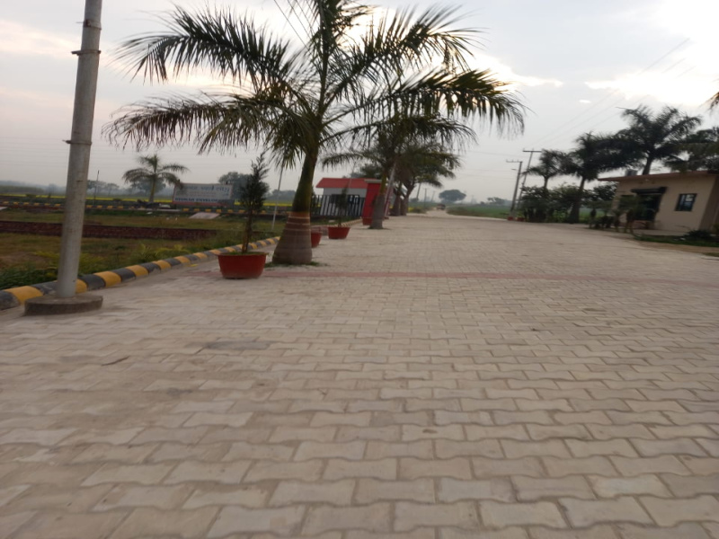  Residential Plot 1000 Sq.ft. for Sale in Patanjali Yogpeeth, Haridwar