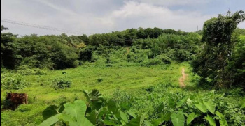  Agricultural Land for Sale in Bajpe, Mangalore