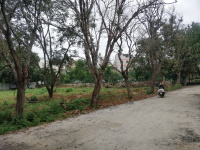  Residential Plot for Sale in Raghuvanahalli, Bangalore