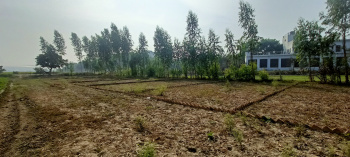  Commercial Land for Sale in Karhal, Mainpuri