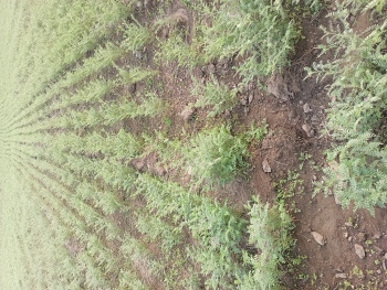  Agricultural Land for Sale in Harsud, Khandwa
