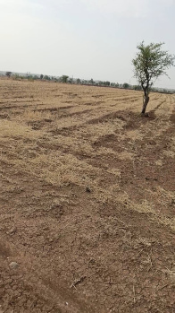  Agricultural Land for Sale in Zirnia, Khargone