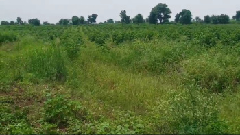  Agricultural Land for Sale in Bhikangaon, Khargone