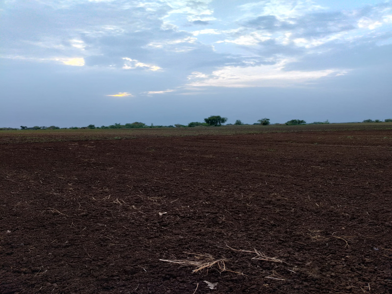  25 Acre Agricultural/Farm Land for Sale in Gogawan, Khargone