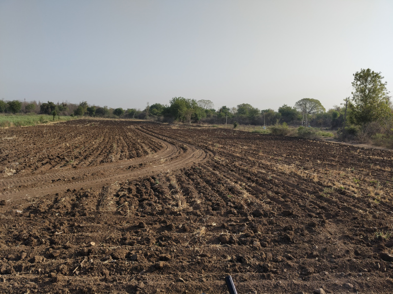  Agricultural Land 9 Acre for Sale in Barwaha, Khargone