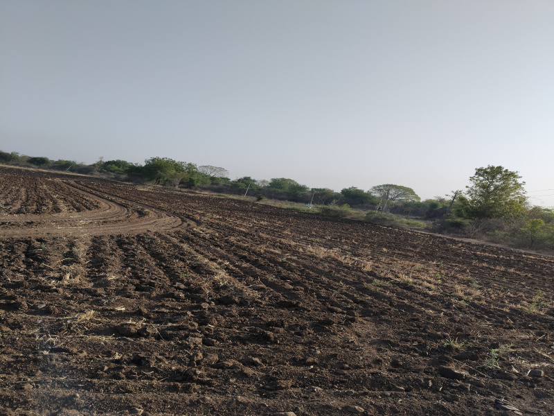  Agricultural Land 9 Acre for Sale in Barwaha, Khargone