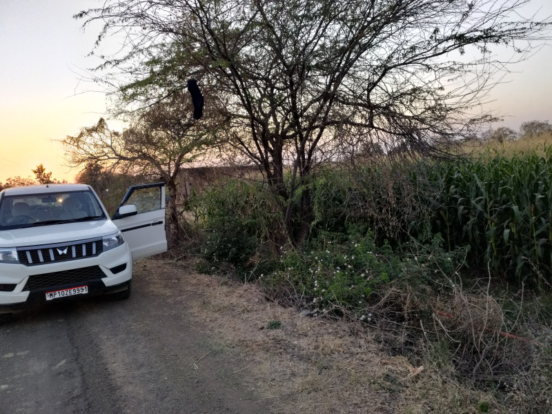 Agricultural Land 30 Acre for Sale in Barwaha, Khargone