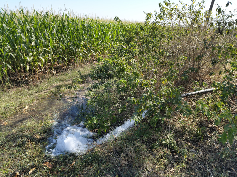  Agricultural Land 30 Acre for Sale in Barwaha, Khargone