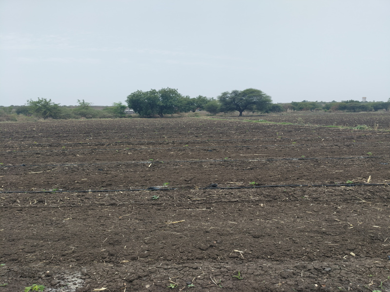  3 Bigha Agricultural/Farm Land for Sale in Kampel, Indore
