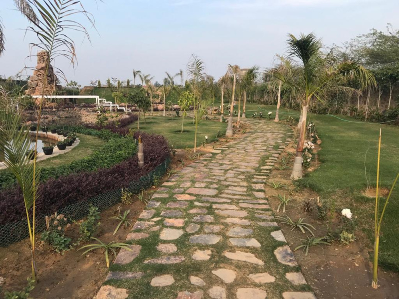 Sohna, Gurgaon photo 4