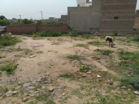  Commercial Shop for Rent in Khajuwala, Bikaner