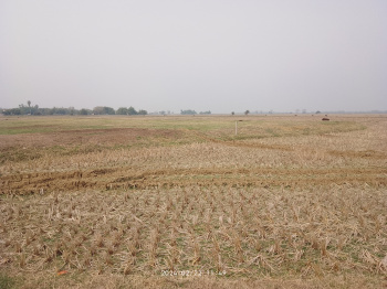  Agricultural Land for Sale in Purba, Bardhaman