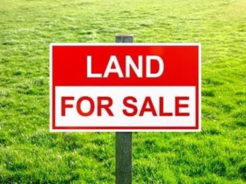  Agricultural Land for Sale in Pratap Bagan, Bankura